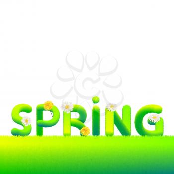 Word Spring made of fur, fluffy flowers daisies, dandelions. Typography, text, texture green letters