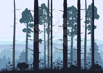 Sunny forest background. Vector illustration of woods in forest in sunlight background.
