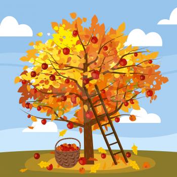 Apple tree with basket of apples, ladder, rural landscape. Hello Autumn, harvest, ripe fruits on tree, countriyside fall. Vector illustration cartoon style poster isolated