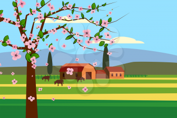 Spring landscape rural countryside, blossom tree, rural nature wwith farmhouse, barn and grass flowers. Panorama springtime green fields, blue sky. Vector background illustration isolated cartoon style