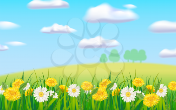 Spring landscape rural countryside, blooming daisies dandelions. Panorama springtime green fields, blue sky. Vector background illustration isolated cartoon style