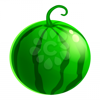 Watermelon berry, fruit whole fresh organic, green color, icon. Vector illustration symbol icon cartoon realistic style