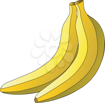 A pair of yellow plantain ready to cook vector color drawing or illustration 