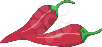 Two fresh red spicy pepper with green stem used to spice up the food vector color drawing or illustration 