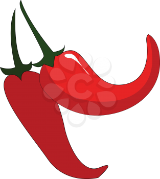 Two red chilis with green petiols vector illustration on white background.