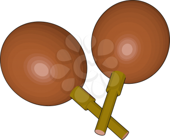 Maraca is also called rumba shaker chac-chac It is a rattle which appears in many genres of Caribbean and Latin music vector color drawing or illustration