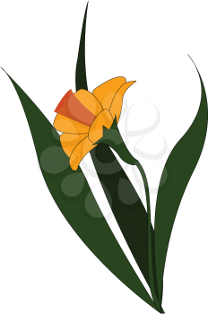 Yellow flower with several leaves vector illustration on white background 
