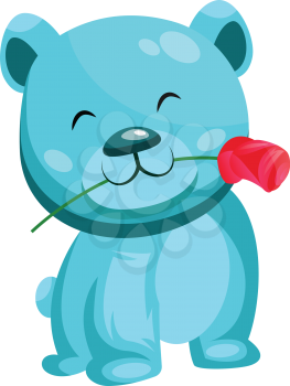 Turquoise bear holding a red rose in his mouth vector illustration on white background.