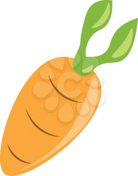 An orange carrot with green leaf is a food healthy vegetable vector color drawing or illustration 