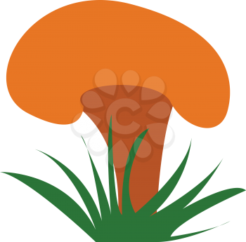 Clipart of a yellow mushroom with green grass vector color drawing or illustration 