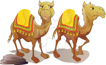 Two Camels, Brown, Smiling, vector illustration