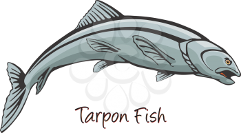 Tarpon, Color Illustration