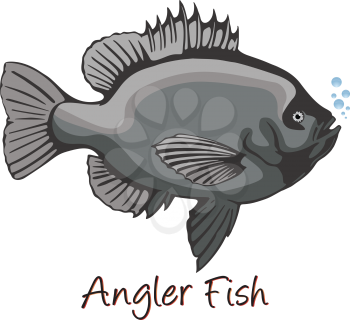 Anglerfish, Color Illustration