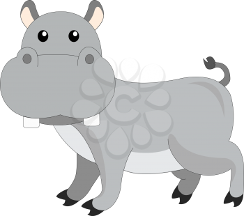 Cute grey hippopotamus, vector illustration