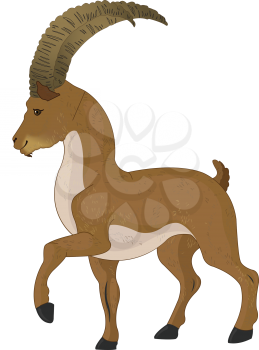 Wild Goat or Capra aegagrus, Brown, vector illustration