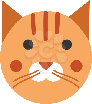 Ginger cat vectior illustration 