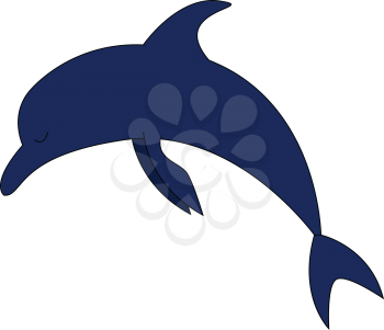 Blue dolphin vector illustration 