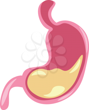 Clipart of internal organ stomach with food inside vector color drawing or illustration 