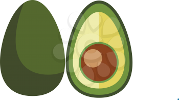 Half cut avocado/Superfood avocado vector or color illustration