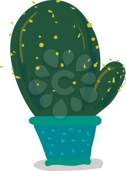 Big cactus in blue flower pot vector or color illustration