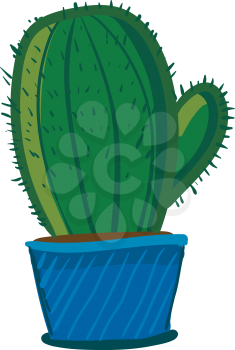 Dome shaped cactus in blue pot vector or color illustration
