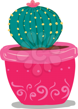 Round indoor cactus pot vector or color illustration