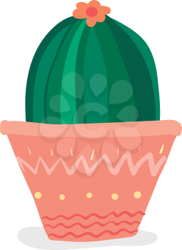 Dome shaped cactus with flower vector or color illustration