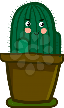Indoor decorative cactus plant vector or color illustration
