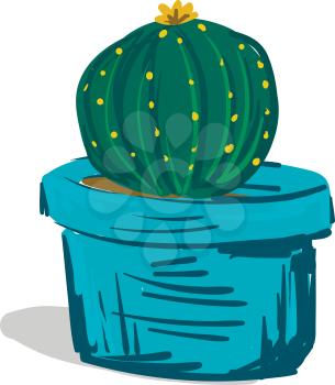 Painting of round shape cactus vector or color illustration