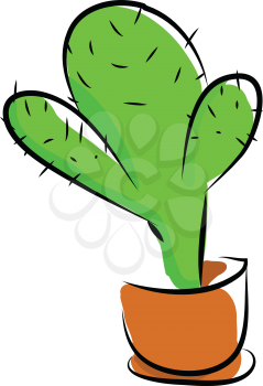 Cactus potted in earthen pot vector or color illustration