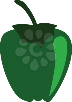 A fresh green pepper vector or color illustration