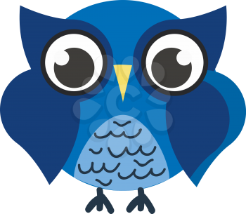Blue owl bird vector or color illustration