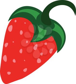 A fresh strawberry vector or color illustration
