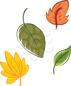 Four multi-colored cartoon leaves of different shapes represent the autumn season vector color drawing or illustration 
