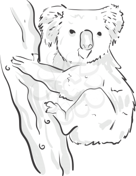 A black sketch of a koala climbing on the tree and facing us vector color drawing or illustration 