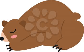 A big brown with a short tail and claws nose and eyes in black color has closed eyes while sleeping vector color drawing or illustration 