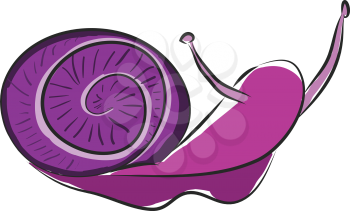 Pink snail vector illustration on white background