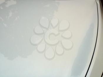 Smooth white auto body panel with curved lines pearl white