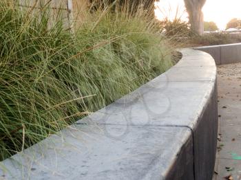 Modern landscaping design drought tolerant heat resistant plants