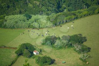 Aerial view showing agricultural fields and forests of Faial island