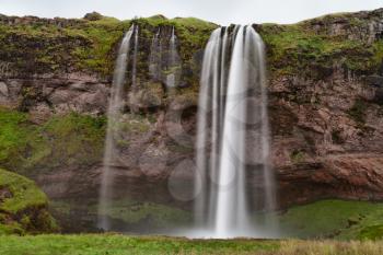 Seljalandsfoss waterfall surrounded by Angelica in summer, Iceland. South Iceland, Route 1