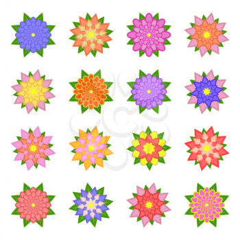 A set of beautiful colorful flowers. Isolated on white background. Sixteen variants. Suitable for design.