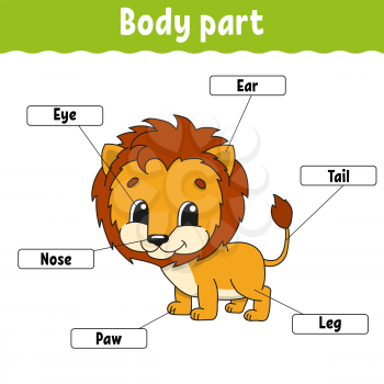 Body part. Learning words. Education developing worksheet. Activity page for study English. Game for children. Funny character. Isolated vector illustration. Cartoon style.