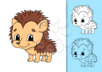 Wild hedgehog. Set of vector illustrations isolated on white and colored background. Design element. Black stroke. Cartoon style.