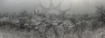 Panorama of downtown Montreal during winter snowstorm from the mont royal mountain.