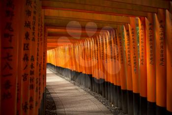 KYOTO, JAPAN - APRIL 13, 2015: The gates in the Fushimi Inari shrine in Kyoto, Japan.  Famous for his thousand of orange tori gates