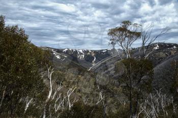 Beautiful view from mount Hotham with snow on top on great alpine road in Victoria, Australia