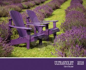 2 purple chair in a middle of a lavender field.  Color of the year 2018, ultraviolet.